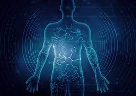 O-MAG PEMF Technology